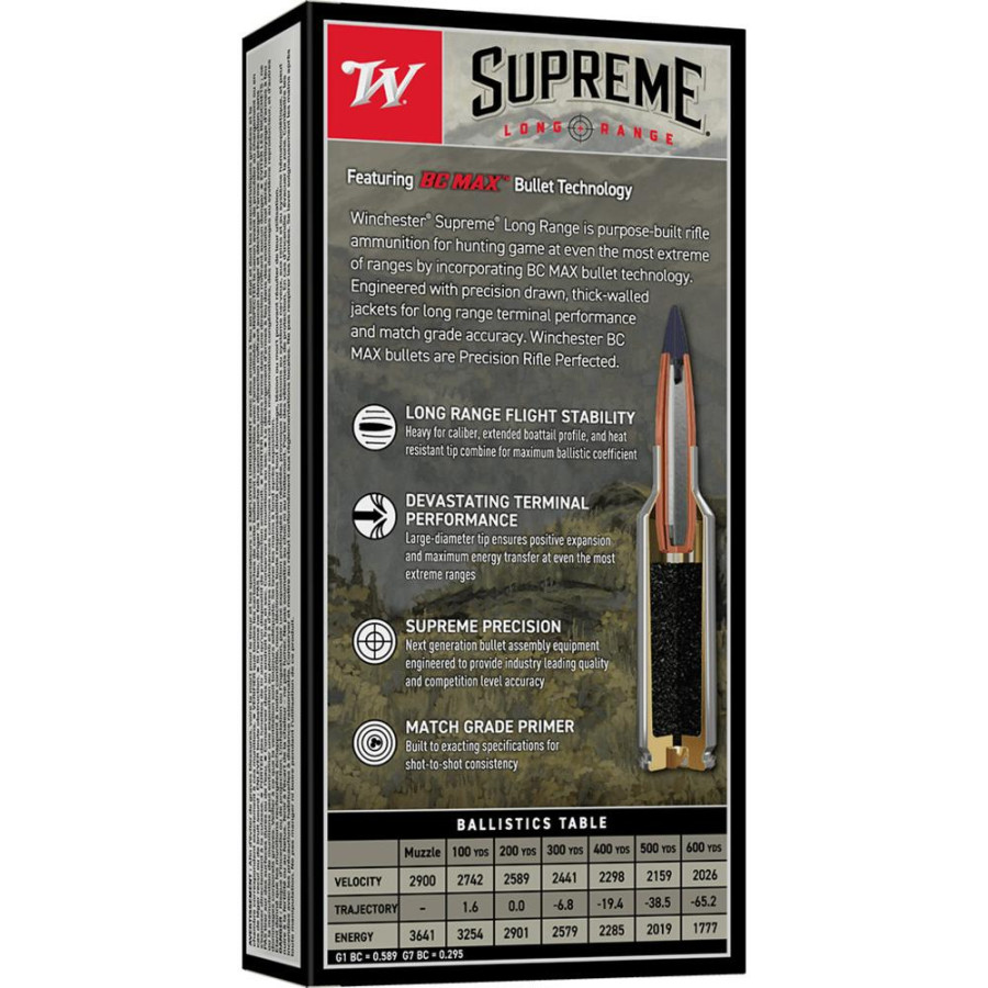 WNS300SBC1