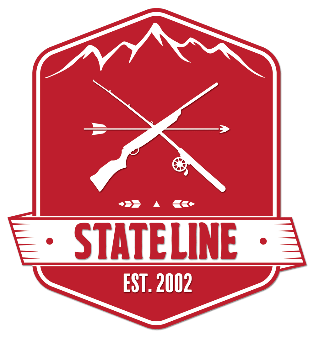 statelinegunsnh.com